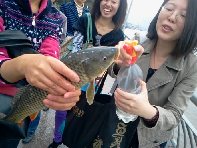武安放生的鳄鱼找到了吗,武安市通报鳄鱼放生事件