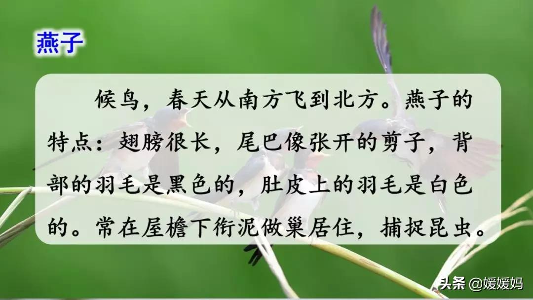 三年级下册第二课燕子的优美语句,燕子课文三年级下册同步练习答案