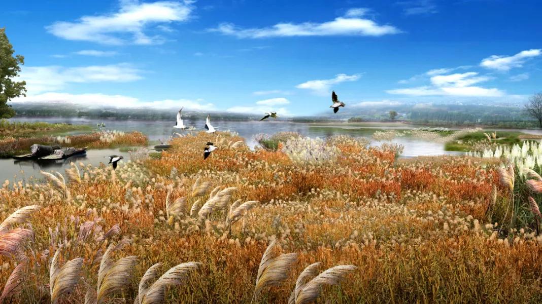 槐林湿地公园地址,槐林湿地公园可以进去么