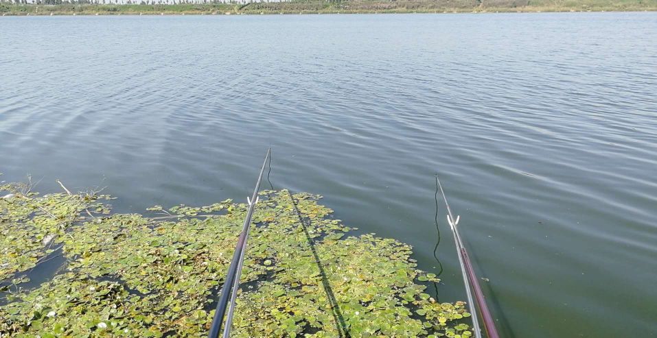 钓竿原则,钓竿选购