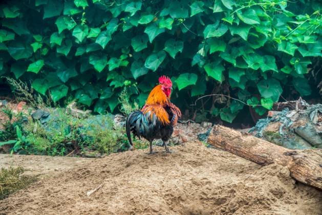 中国最美乡村Top10，有你家乡吗？