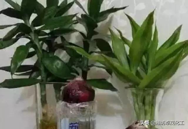 小苏打碳酸氢钠的功效与作用,小苏打真有这么多用处吗