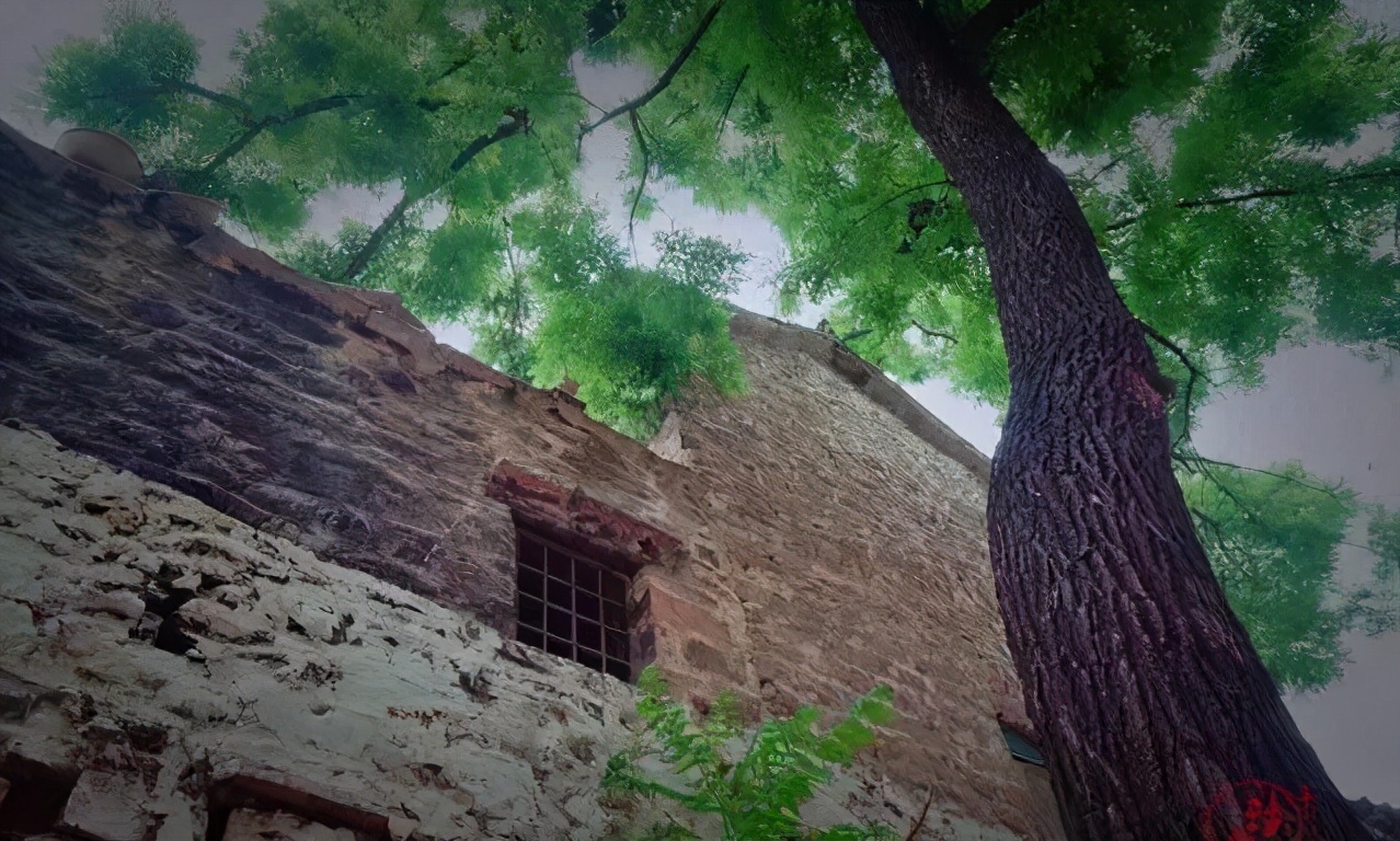 涉县更乐镇好地方！探访南漫驼“寨崖”！堪称人间仙境