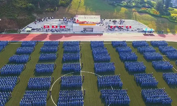 年终特辑|官微带你一起盘点泉信人的2019关键词