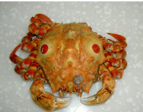 东港最全海鲜,东港海鲜攻略