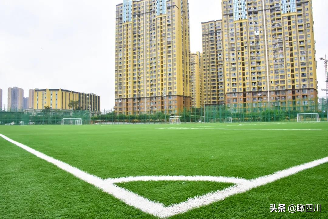 成都锦江城市花园二期违建,成都锦江违建别墅