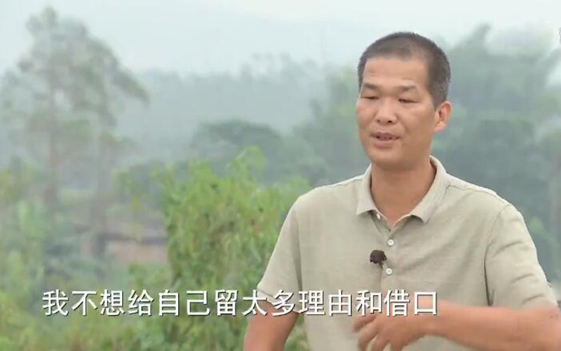 返乡创业养鹅的人,回家养鹅创业项目