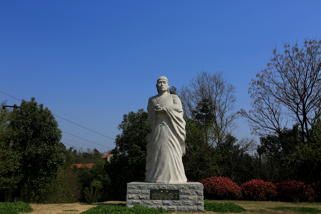 忘掉西湖吧，黄陂花乡茶谷的龙井同样醉人