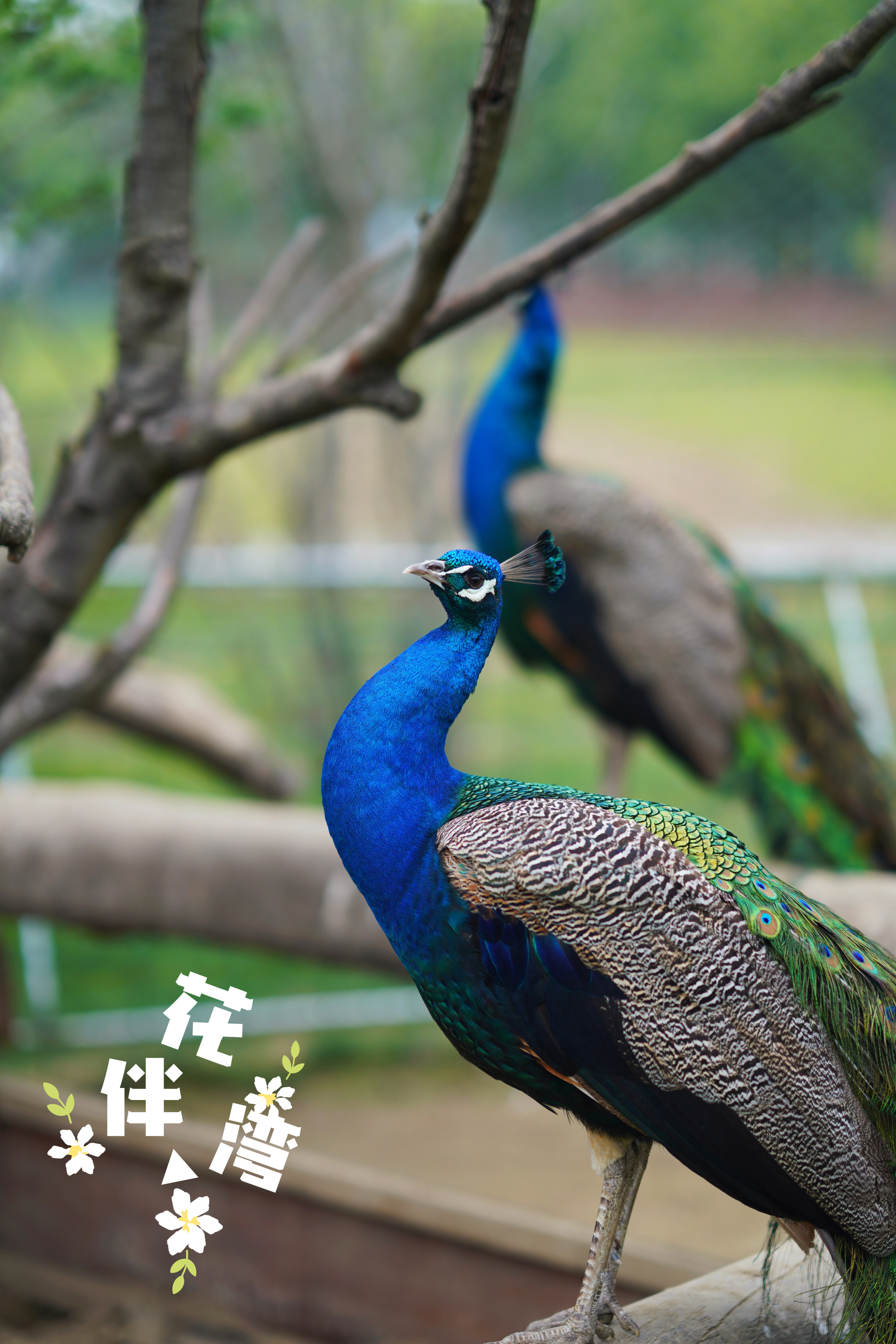 送你一份不走寻常路的苏州攻略，田园风民宿+文艺小清新打卡地