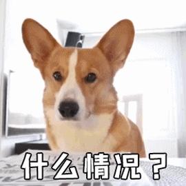 青岛大妈上吊式锻炼治颈椎!还能吊着睡觉!网友:你大妈永远是你大妈!