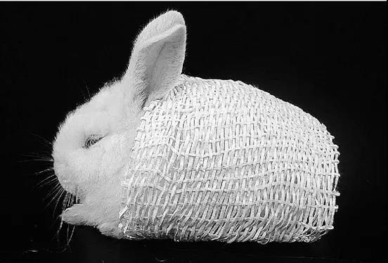 流浪地球地球为什么要流浪,流浪地球中杭州地下城为什么毁灭