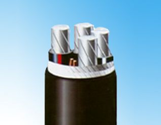 上市电缆厂家,高端特种电缆上市公司