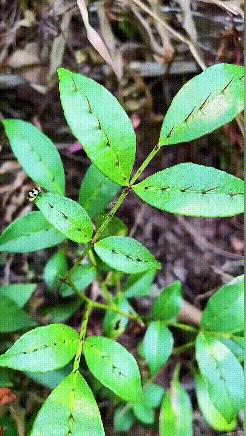 女生衣服尺码分别对应多少斤体重,女孩子衣服尺码跨度是个谜
