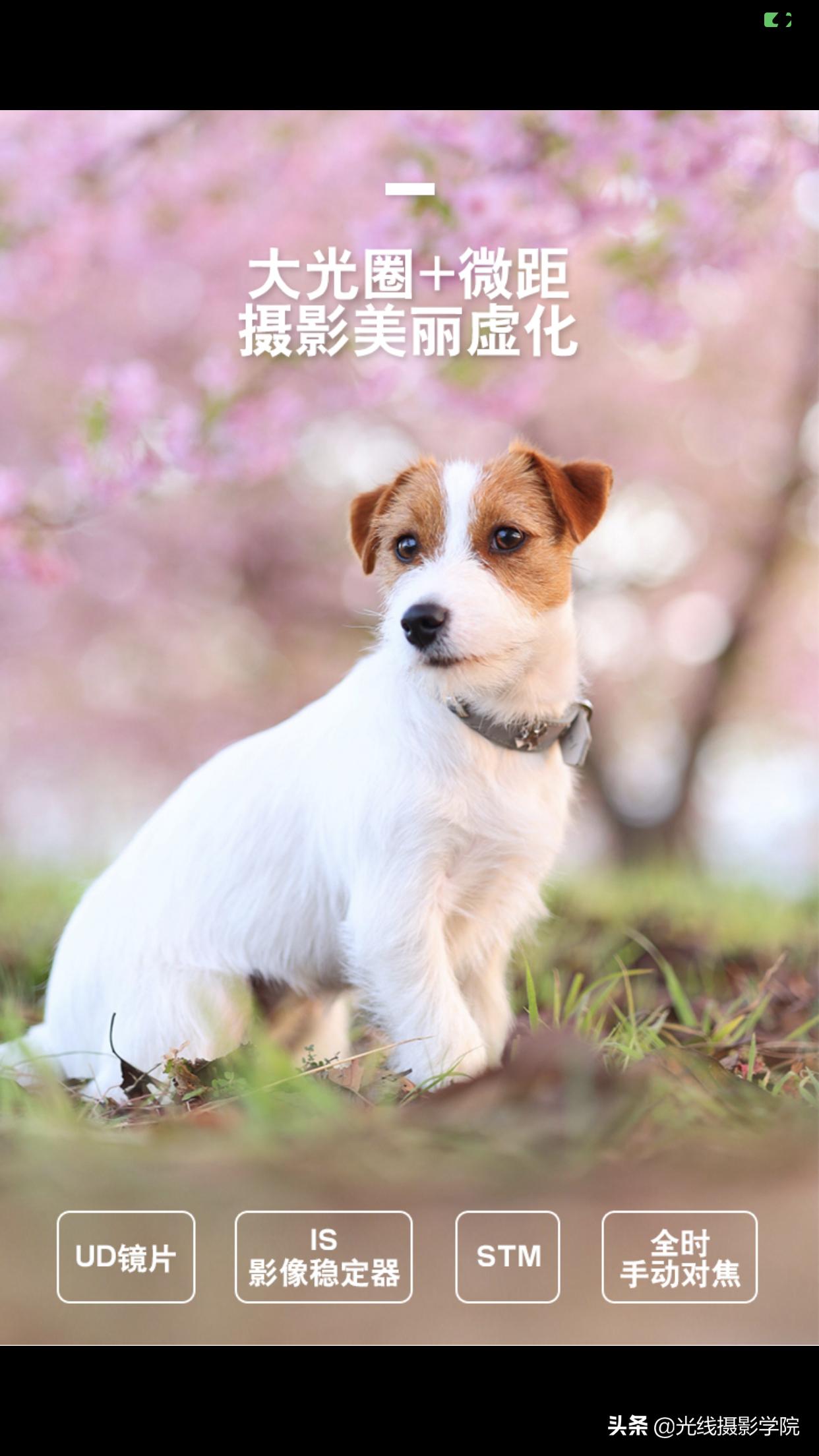 五一旅游全景相机,五一出行相机