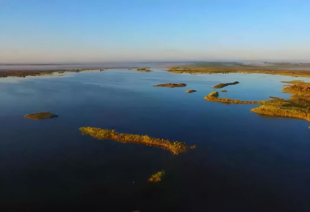 *疆新**男子沙漠5亩池塘养澳洲淡水虾，个头比手掌大，亩利润达万元