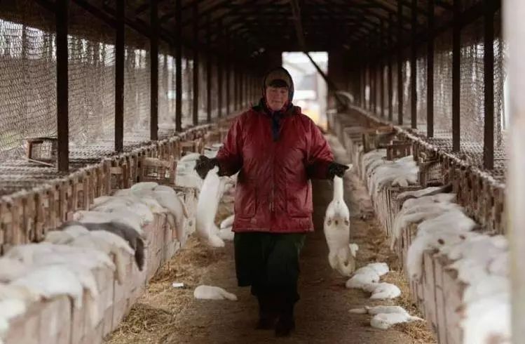 豆瓣9.1这部剧全程高能,豆瓣9.2分最好看的悬疑剧