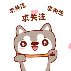 中兴芯片有多厉害,中兴的芯片有多厉害