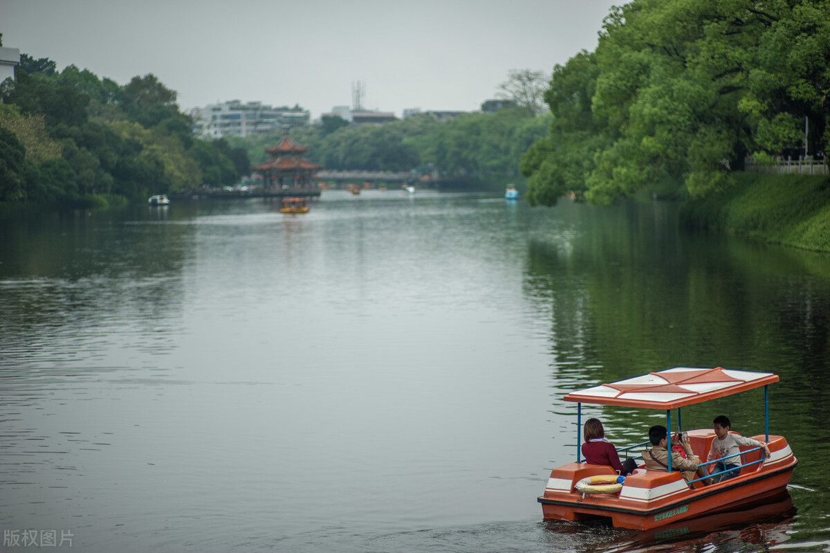 典故诗话258食蔗从梢佳境渐入