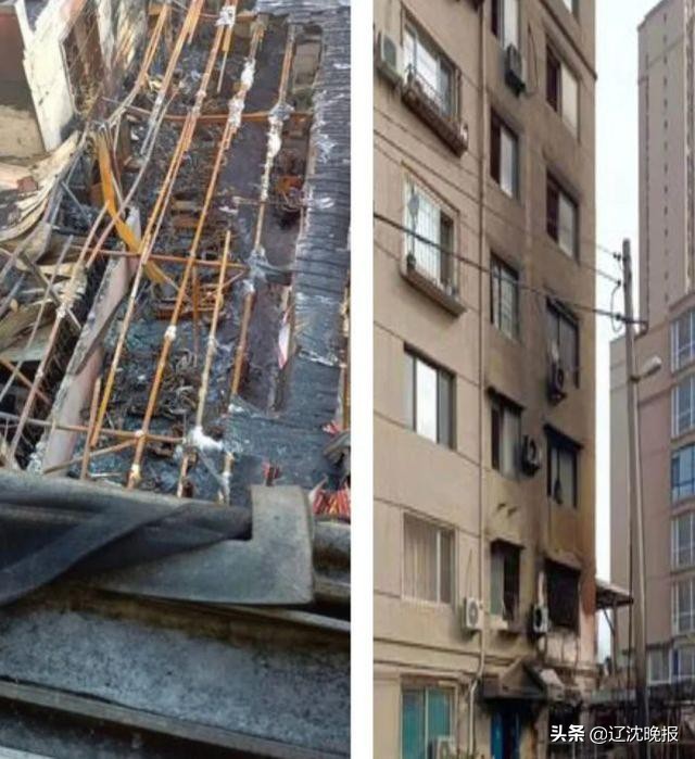 马蜂怎么防止被蜇,马蜂被蜇怎么办