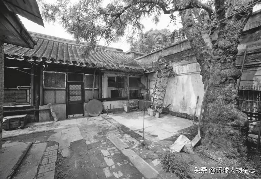 “五四”特别策划｜青年毛*东泽**闯荡北京，见识这座色彩斑斓的大都市