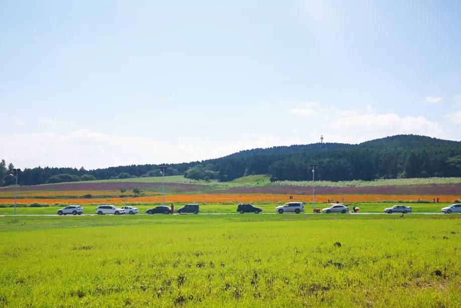 文化氛围争第一，净月的路子有多野？