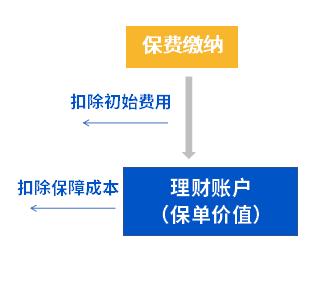 万能险的万能体现在哪里,万能险和非万能险区别