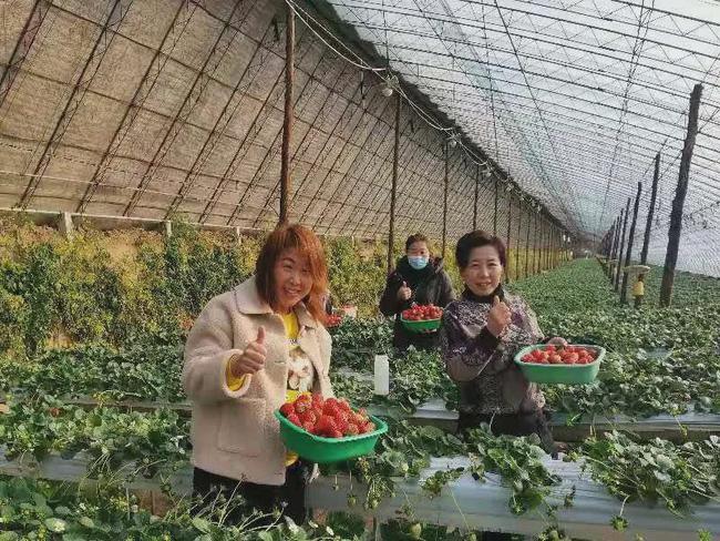 党建引领富民兴村,党建引领富村强民