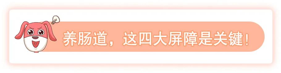 老是拉肚子放臭屁是怎么回事,最近老是拉肚子放臭屁是怎么回事