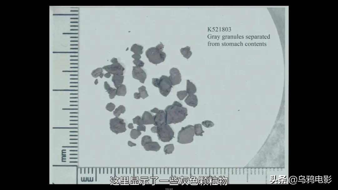 气到抽搐发抖电视剧,气到发抖的电影解说
