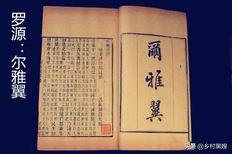 最好的莼菜,莼菜到底是什么菜