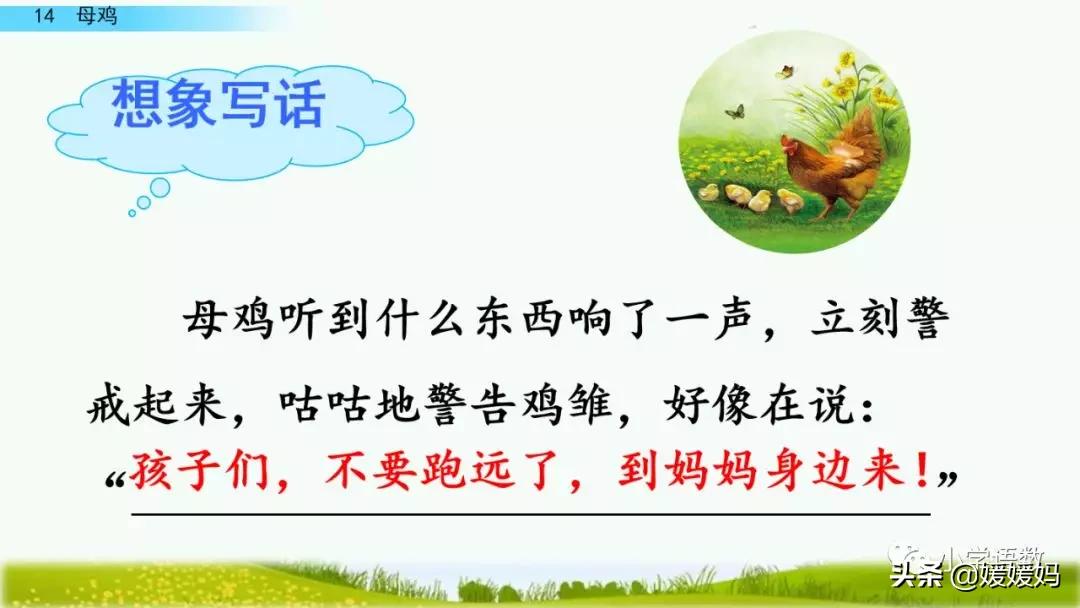 四年级下册第13课小练笔仿写母鸡,四年级下册14课母鸡的预习完整版