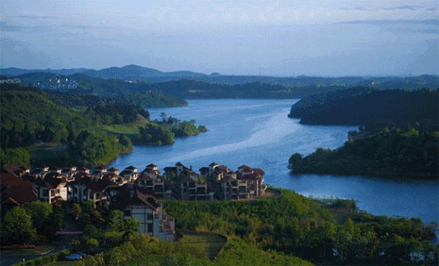不当环球小姐，她跑到深山，种菜、调香，过上佛系人生