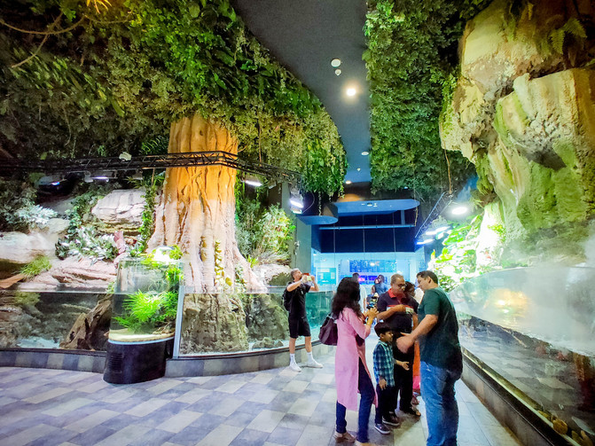 带你看不一样的迪拜,带你感受不一样的迪拜