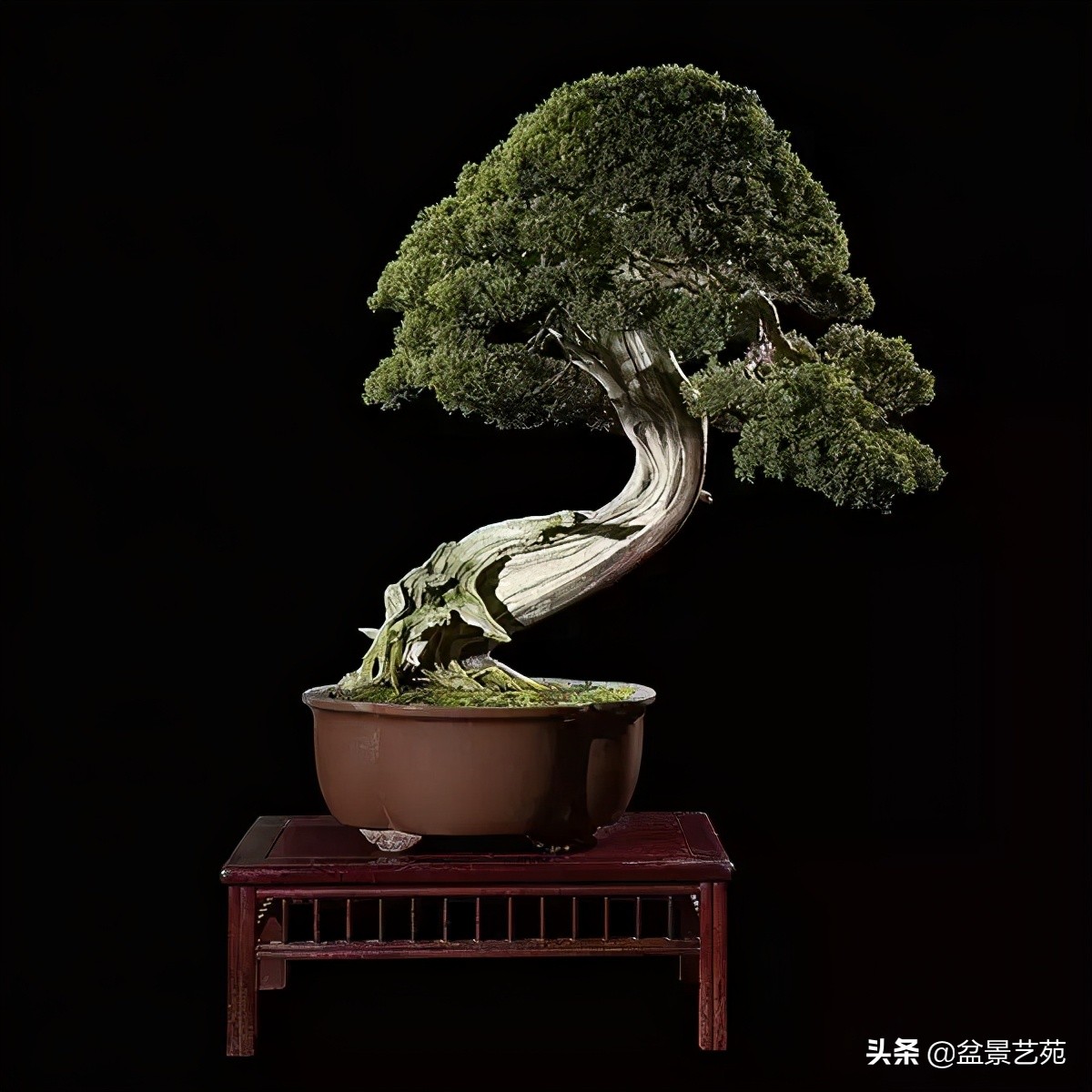 西泠印社砚台最高价拍卖记录,杭州西泠拍卖盆景