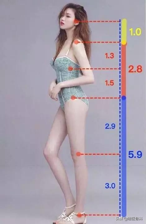 如何练成大长腿女神必看,如何练成又细又长的大长腿