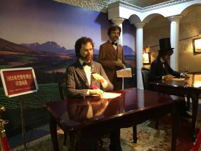 波尔多葡萄酒博物馆特点,了解葡萄酒用什么软件