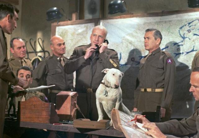 全球公认的10大元帅麦克阿瑟,美国有几位将军超过麦克阿瑟