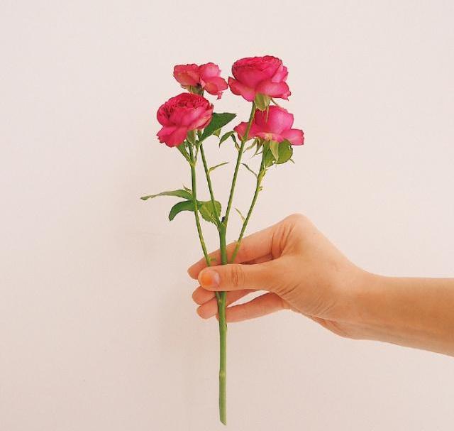 教师节祝词桃李满园,教师节桃李开满园