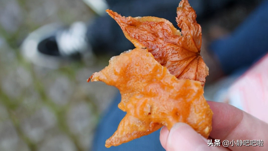 日本你不知道的冷知识,你不知道的国家冷知识日本篇