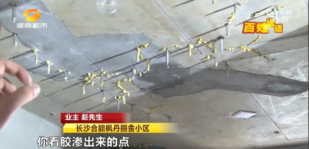 新房天花板裂缝如蜘蛛网,新房屋顶变蜘蛛网裂缝密密麻麻