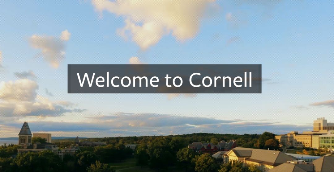 今年哈佛录取名单,2021哈佛早申录取结果