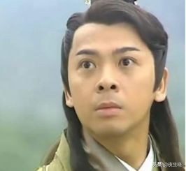 大唐双龙传宇文化及武功,大唐双龙传武功秘籍大全