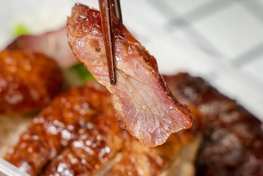 魔都粉鸭哪家好吃,烧鸭油鸡饭哪个好吃