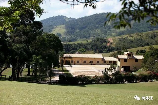 89岁前F1总裁宣布妻子怀孕。大女儿已65岁，妻子44岁整天买买买。