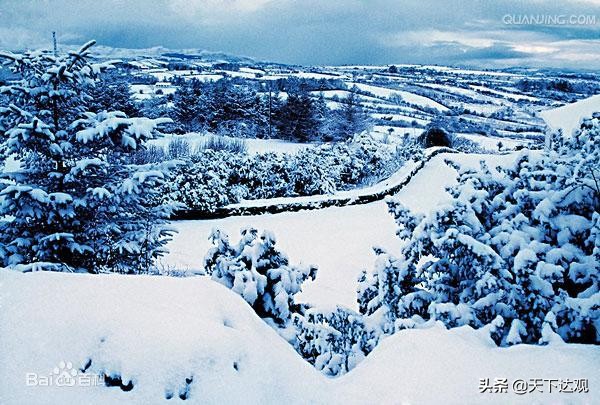 欧洲史|爱尔兰:议会共和制国家,与英国隔海相望,是“翡翠岛国”