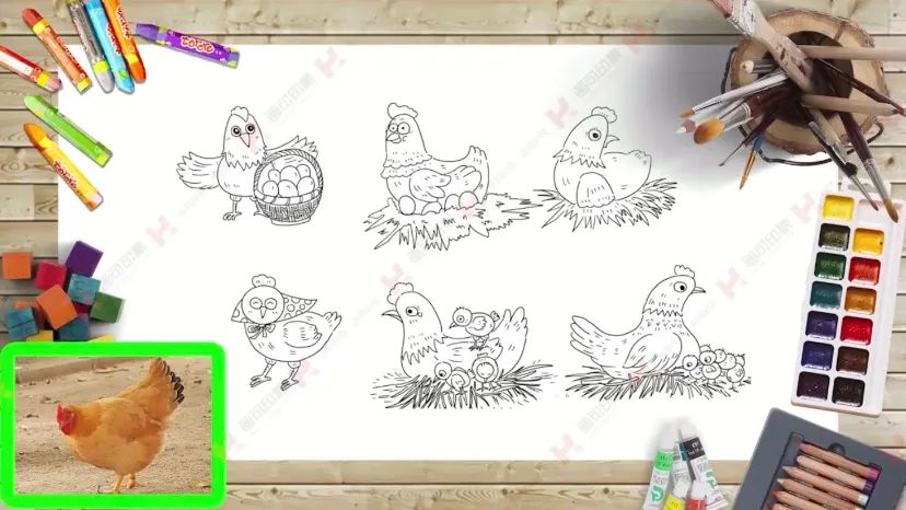 教学画小鸡,鸡蛋绘画入门教程