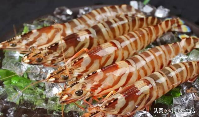 为什么基围虾越来越便宜,基围虾出自于哪里