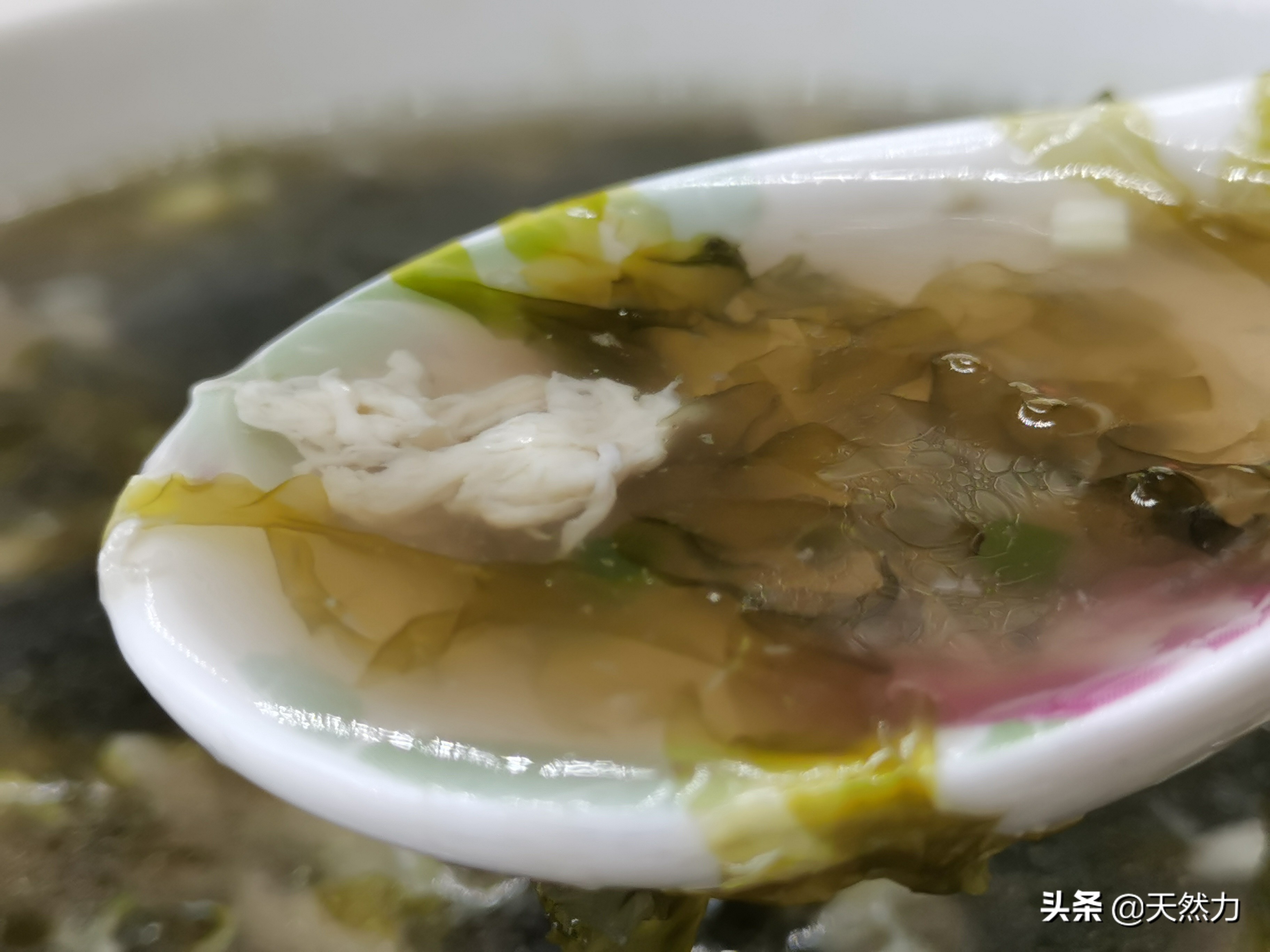 紫菜和海苔有什么区别,紫菜和海苔什么区别