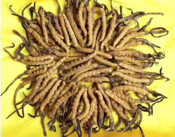 坐月子哪些东西不能吃不喂母乳,坐月子饮食上有哪些注意事项