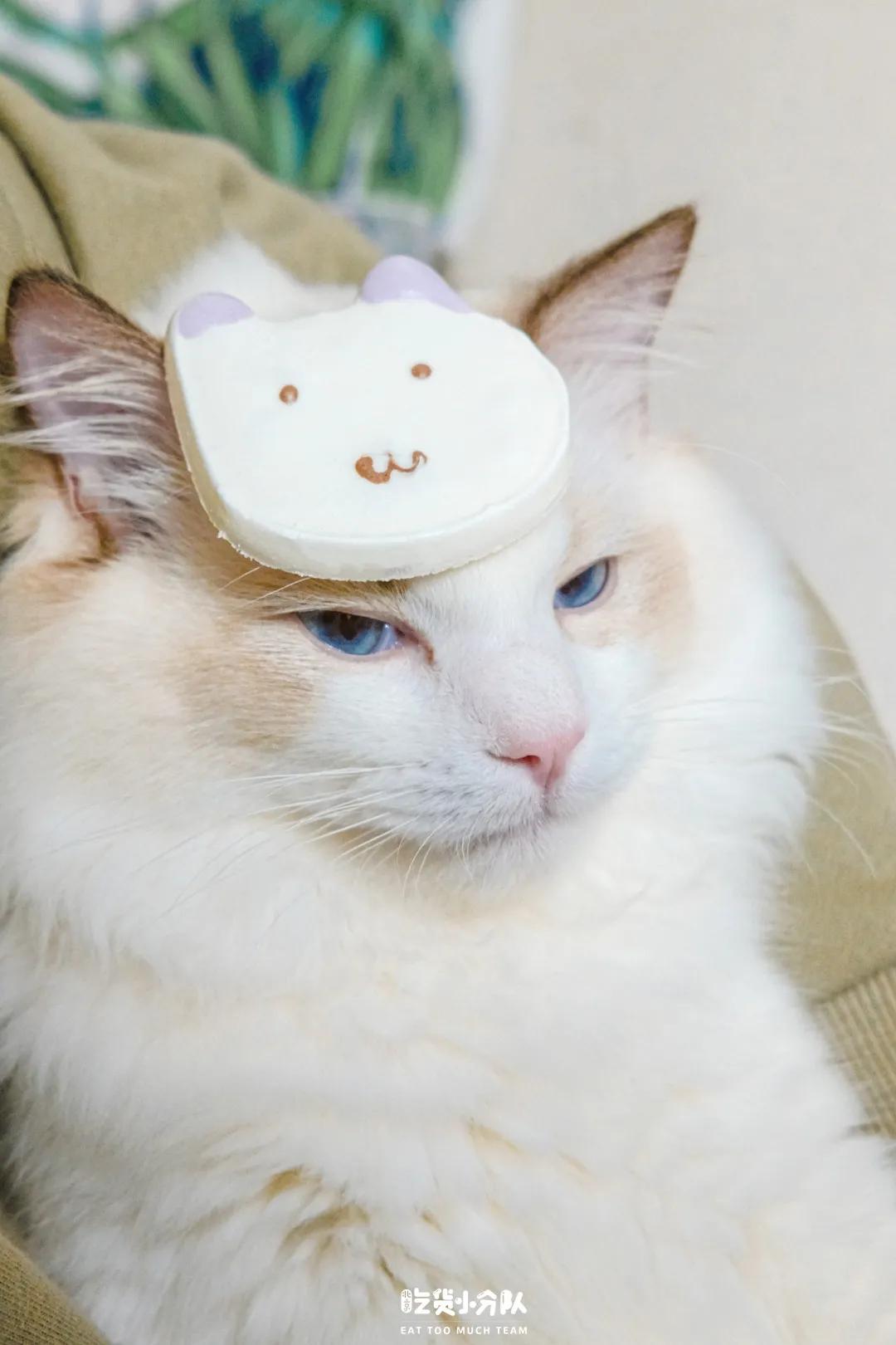 买咖啡送盲盒,麦咖啡晚上卖吗